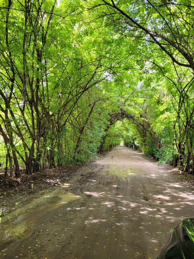 Vila Sol Chales Pôrto de Pedras エクステリア 写真